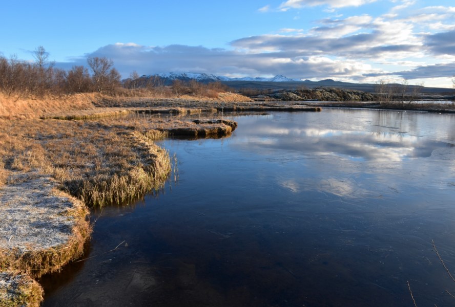 Zachodnia Islandia